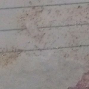 Meet your Posher, Mari